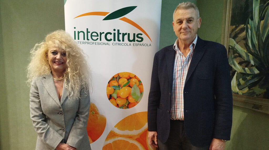 Inmaculada Sanfeliu nueva presidenta de INTERCITRUS